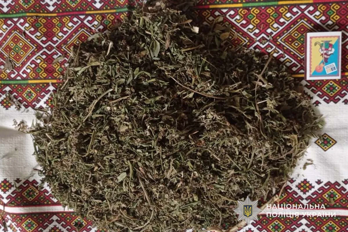 В доме 25-летнего жителя Лановцев нашли коноплю.webp