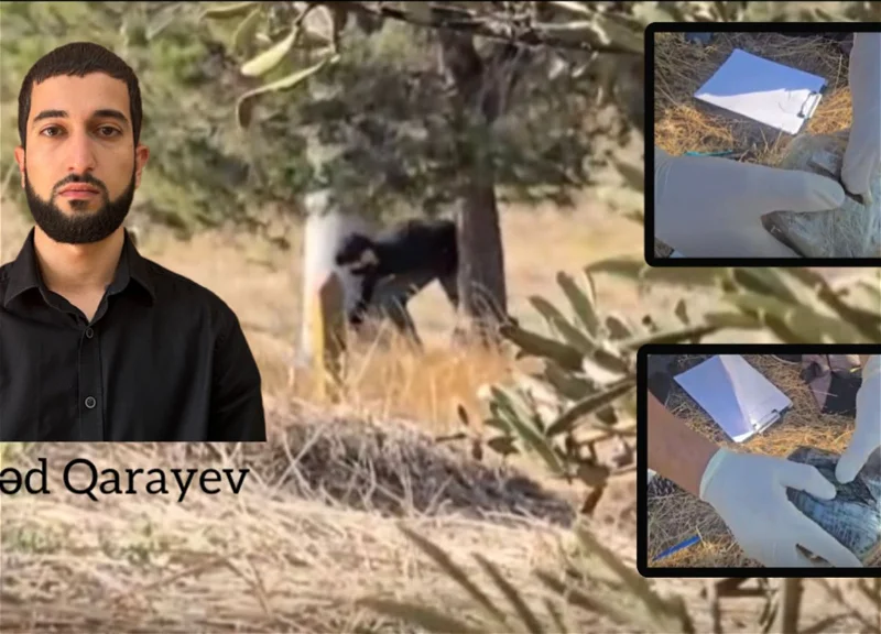 В Гаджигабуле задержан подозреваемый в наркокурьерстве.webp