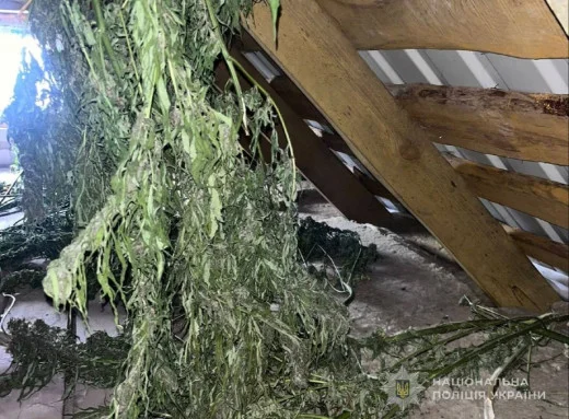 В Сумской области полиция изъяла более 4 кг наркотических веществ.webp