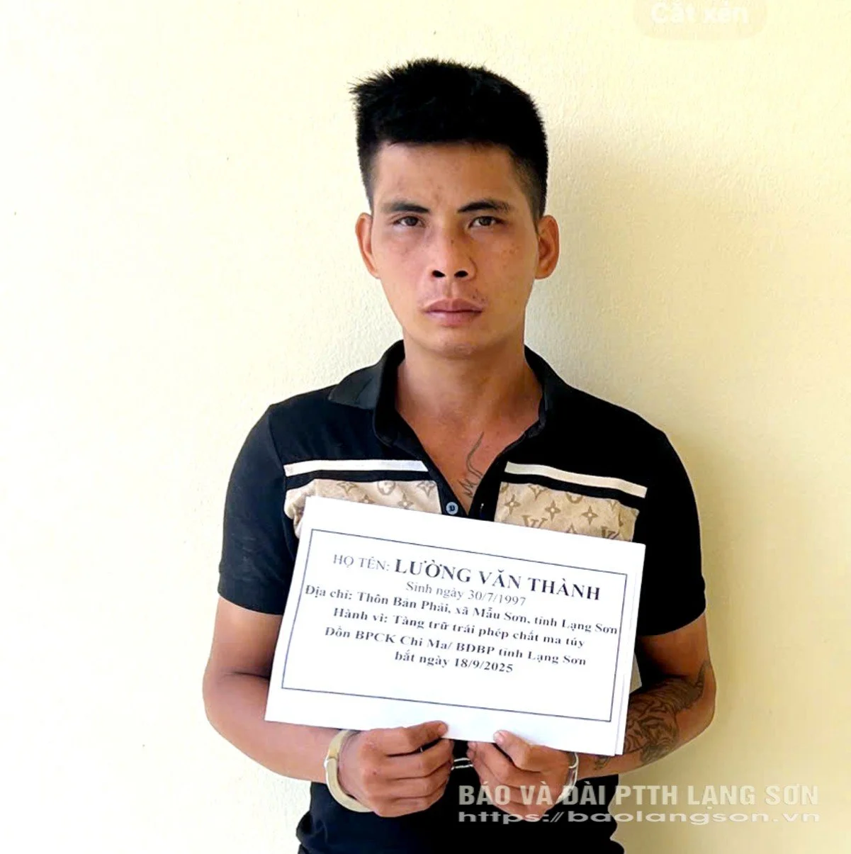 вьетнам нарко.webp