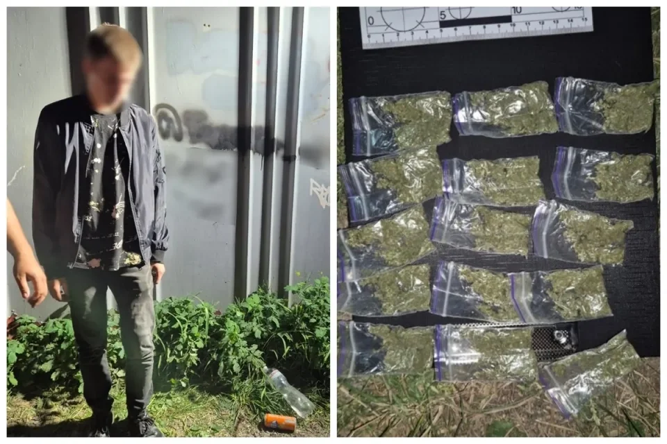 винница амф шиш альфа пвп закладки.webp