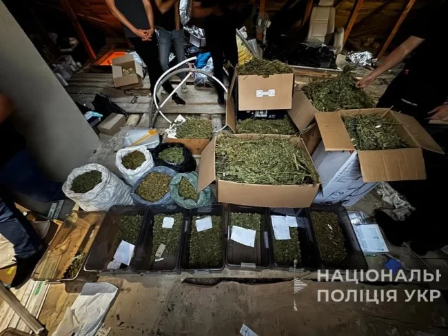 выпечка с марихуаной.webp