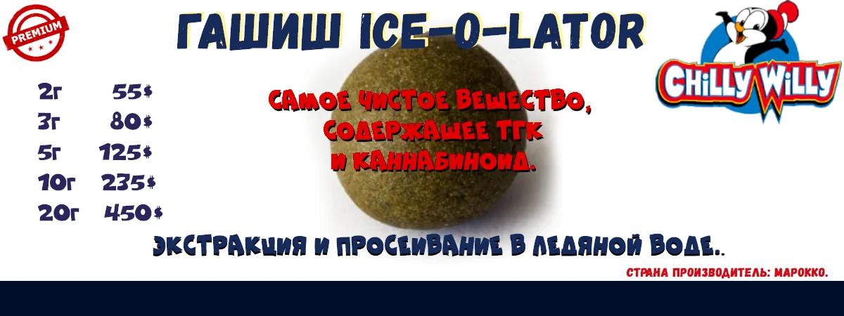 .webp