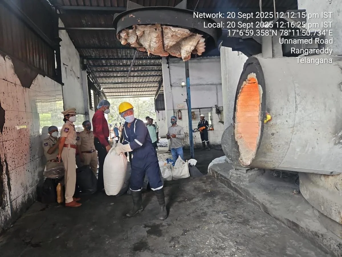 WhatsApp Image 2025-09-20 at 19.14.19_aff03885.webp