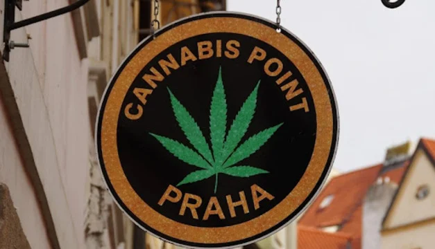 Забивай косяк Чехия легализовала марихуану.webp