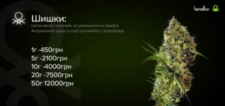 1751020499442.webp