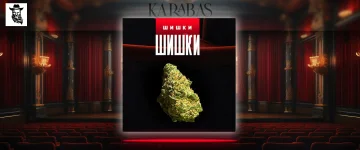 шишки.webp