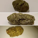 collage-min.webp