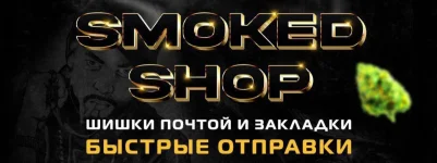 1000019424.webp