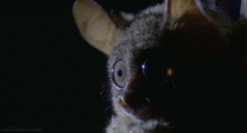 giphy (1)_1757305755094.gif