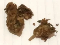 IMG_20250918_055457_171.webp IMG_20250918_055457_171.webp