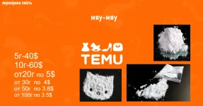 What-is-Temu (1).webp