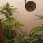 IMG_20240118_192658_1.webp