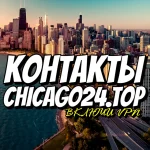 262.webp