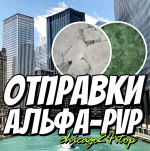 263.webp