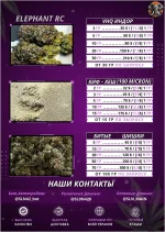 1755088917822.webp