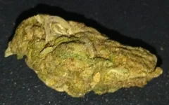 IMG_20250925_040300_169.webp IMG_20250925_040300_169.webp