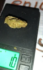 IMG_20250925_111419_644.webp IMG_20250925_111419_644.webp