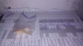 IMG_20251001_165006_247.webp IMG_20251001_165006_247.webp