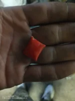 IMG_20251006_141824_243.webp IMG_20251006_141824_243.webp