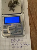 IMG_20251011_161036_569.webp IMG_20251011_161036_569.webp