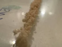 IMG_20251011_165434_941.webp IMG_20251011_165434_941.webp