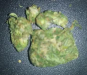 IMG_20251026_143911_605.webp IMG_20251026_143911_605.webp