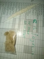 photo_2025-10-31_13-04-33.webp photo_2025-10-31_13-04-33.webp