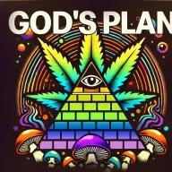 GOD'S PLAN