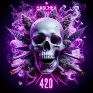 Banch420