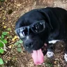 kapu4in01