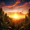 Sunrise1opto