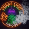 Dubas Lion